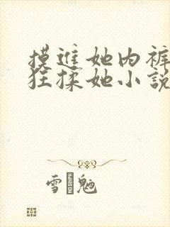 摸进她内裤里疯狂揉她小说