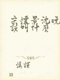 宋怀景沈晚怡小说叫什么