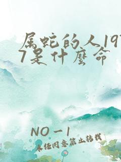 属蛇的人1977是什么命