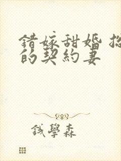 错嫁甜婚 总裁的契约妻