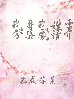 我哥我嫂电视剧分集剧情介绍