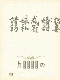 错嫁成婚:总裁的私宠甜妻 风亭