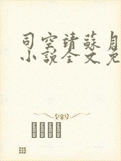 司空靖苏月汐的小说全文免费阅读