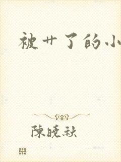 被艹了的小说
