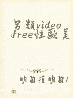 另类videofree性欧美