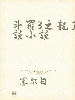 斗罗3之龙王传说小说