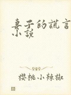 妻子的谎言赵健小说