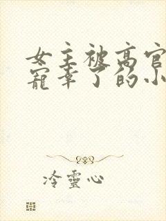 女主被高官大叔宠幸了的小说名字