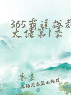 365霸道总裁大佬第1季