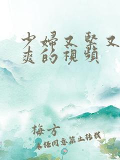 少妇又紧又湿又爽的视频