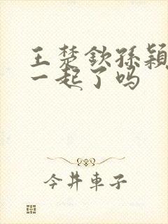 王楚钦孙颖莎在一起了吗