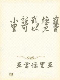 小说武炼巅峰哪里可以免费阅读