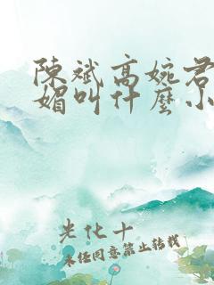 陈斌高婉君赵心媚叫什么小说