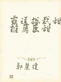 霸道总裁甜宠文推荐巨甜