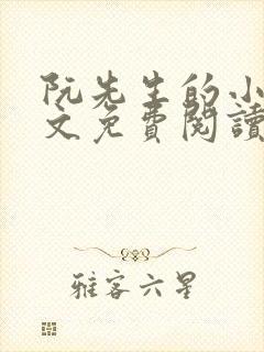 阮先生的小说全文免费阅读无弹窗