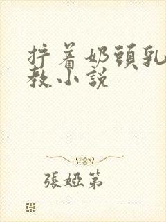 拧着奶头乳夹调教小说