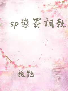sp惩罚调教