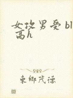 女攻男受 bl 高h