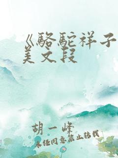 《骆驼祥子》优美文段