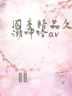 国产精品久久高潮呻吟av