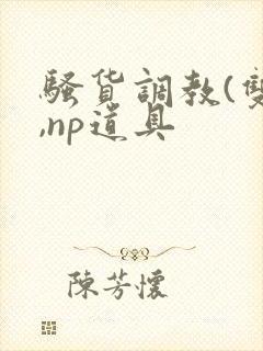 骚货调教(双性,np道具