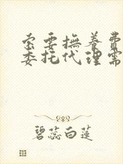 索要抚养费律师委托代理需要多少钱