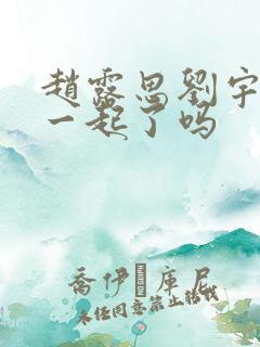 赵露思刘宇宁在一起了吗