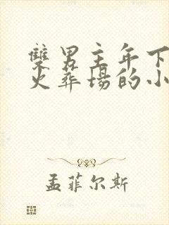 双男主年下追妻火葬场的小说