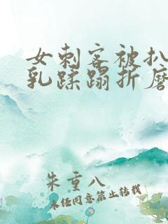 女刺客被扒开双乳蹂蹋折磨小说