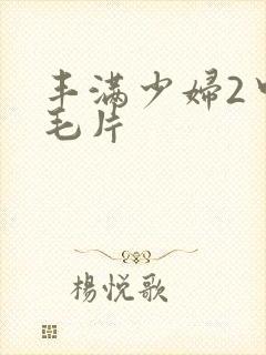 丰满少妇2中文毛片