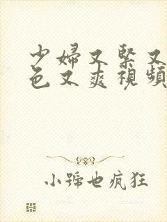 少妇又紧又大又色又爽视频