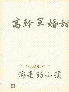 高干军婚甜文