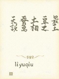 天蚕土豆最新小说万相之王