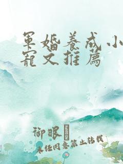 军婚养成小说甜宠文推荐