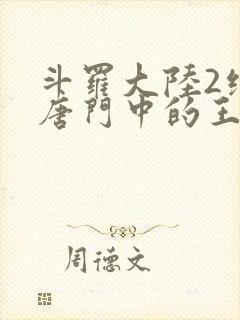 斗罗大陆2绝世唐门中的王冬