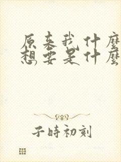 原来我什么都不想要是什么歌的歌词