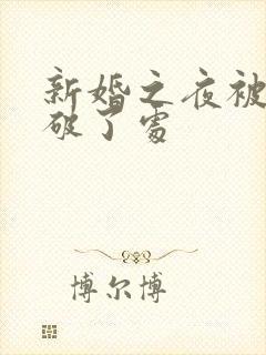 新婚之夜被宾客破了处