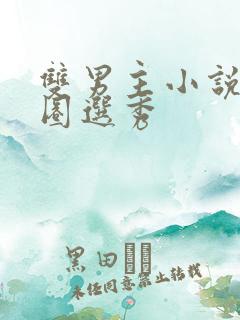 双男主小说娱乐圈选秀