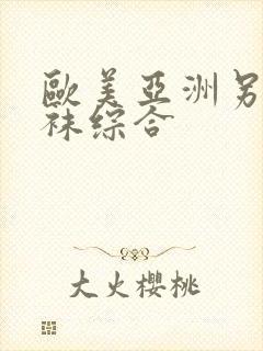 欧美亚洲另类丝袜综合