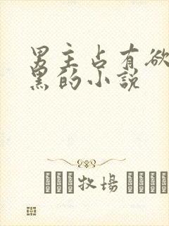 男主占有欲强腹黑的小说