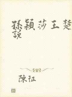 孙颖莎王楚钦小说