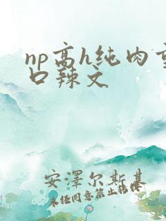 np高h纯肉重口辣文