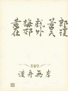 黄梅戏董郎昏倒在郊外吴琼唱