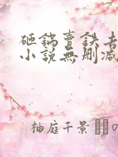 砸锅卖铁去上学小说无删减版