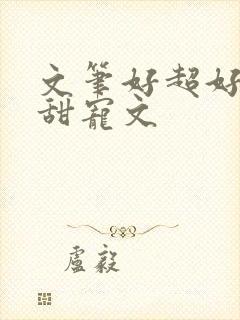 文笔好超好看的甜宠文