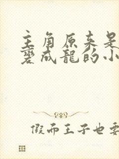 主角原来是人后变成龙的小说