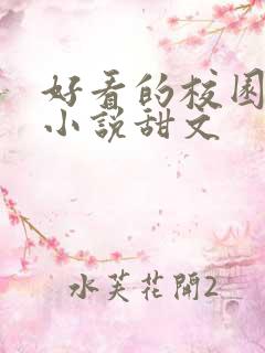 好看的校园言情小说甜文