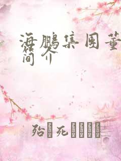 海鹏集团董事长简介