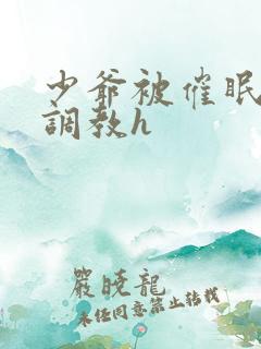 少爷被催眠玩弄调教h