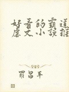 好看的霸道总裁虐文小说推荐